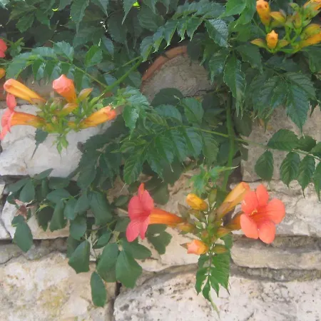 Margita By Interhome Apartamento Supetar