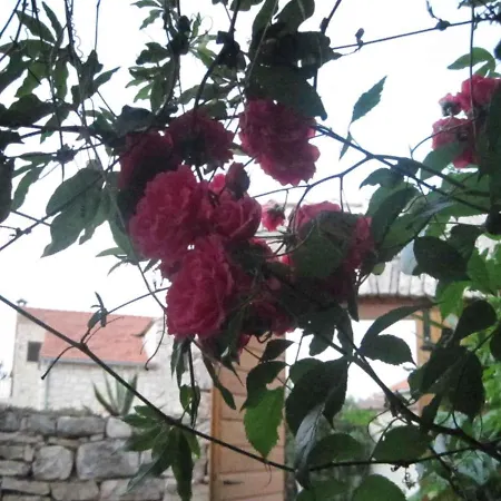 Apartamento Margita By Interhome