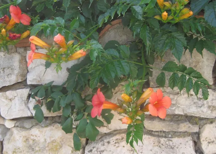 Margita By Interhome Apartamento Supetar