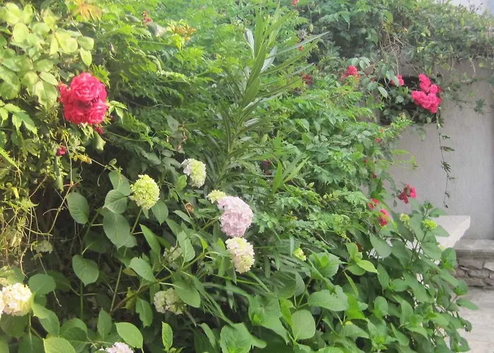 Margita By Interhome Apartamento Supetar